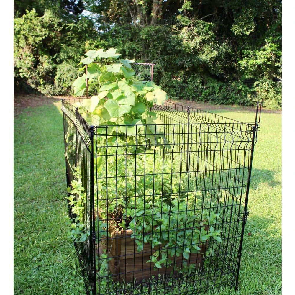 Vigoro 49 in. H Steel No Dig Garden Fence Multi-Purpose Latch (2-Pack) - Image 5