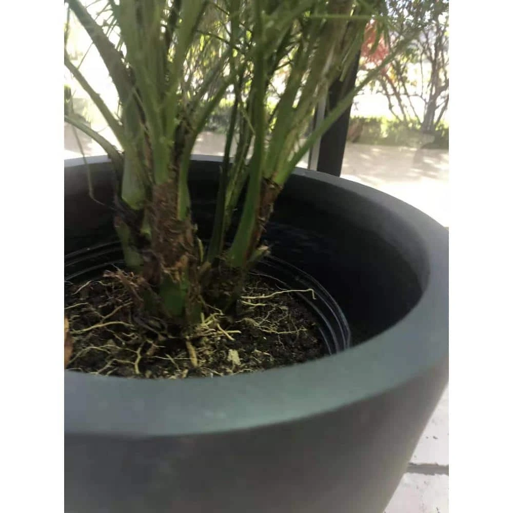 KANTE 16 in. W Round Charcoal Lightweight Concrete/Fiberglass Indoor Outdoor Elegant Bowl Planter - Image 6