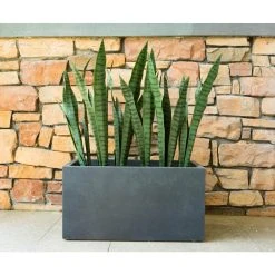 KANTE 23 in. L Rectangular Charcoal Concrete/Fiberglass Indoor Outdoor Elegant Planter