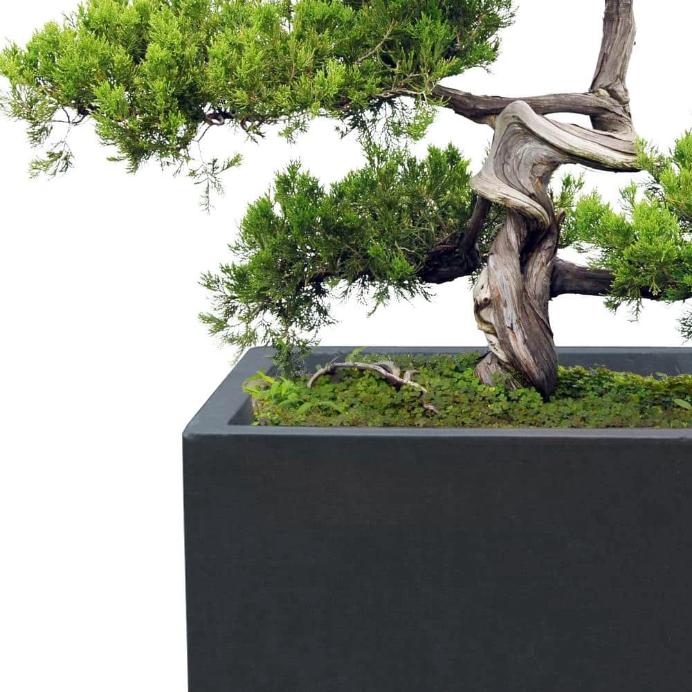 KANTE 19", 16" and 13"H Charcoal Finish Concrete Tall Square Set of 3, Outdoor Indoor Lightweight Planters w/ Drainage Hole - Image 7