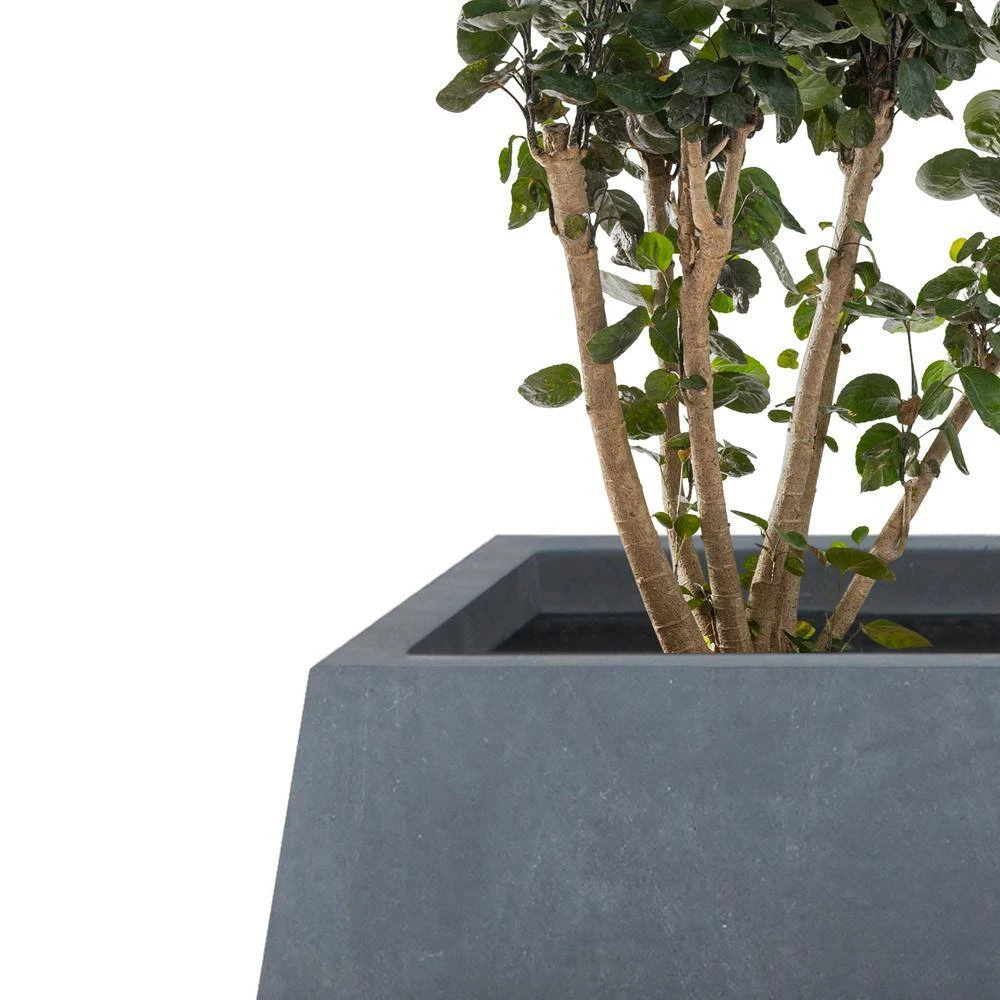 KANTE 21.2 in. and 16.1 in. W Square Charcoal Finish Lightweight Concrete/Fiberglass Planters with Drainage Holes (Set of 2) - Image 3
