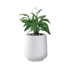 KANTE 17.3 in. H Round Pure White Concrete Planter, Outdoor Indoor Large Planter Pots Containers with Drainage Holes