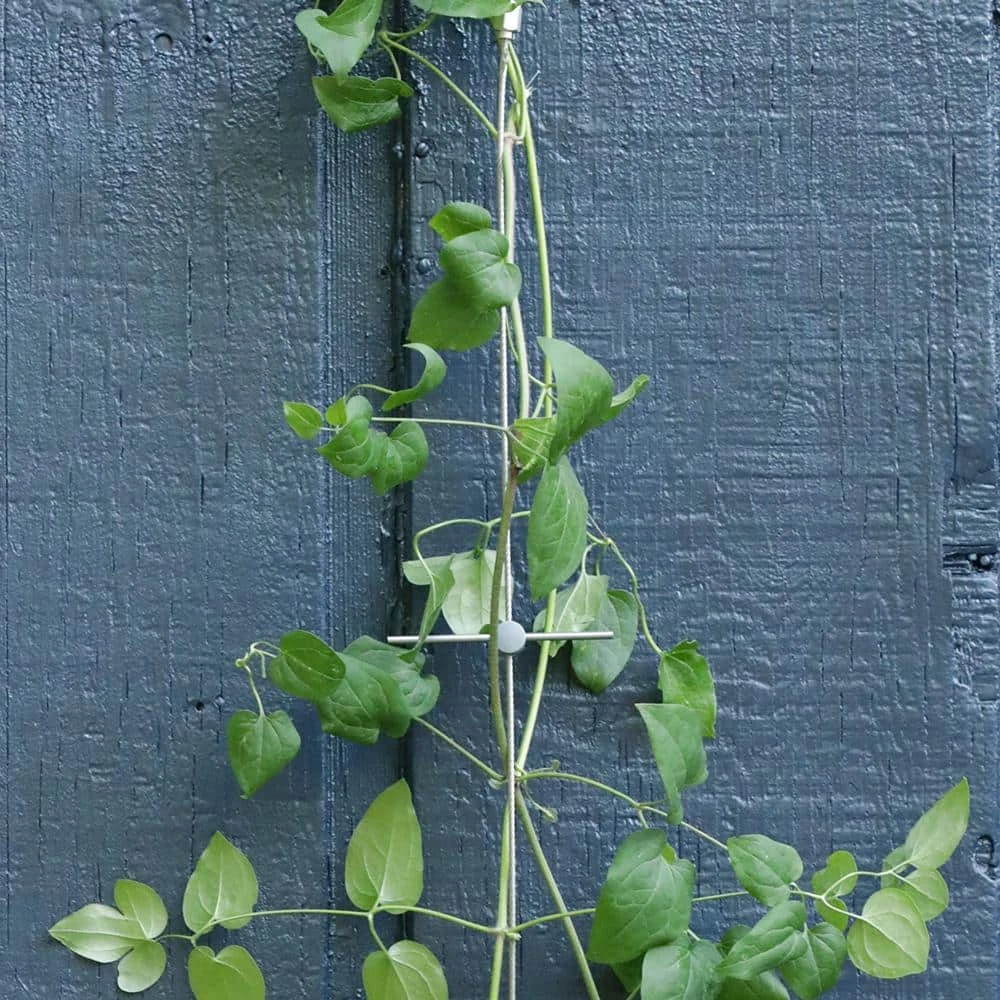 Vigoro 8 ft. Stainless Steel Wire Rope Plant Trellis - Image 3