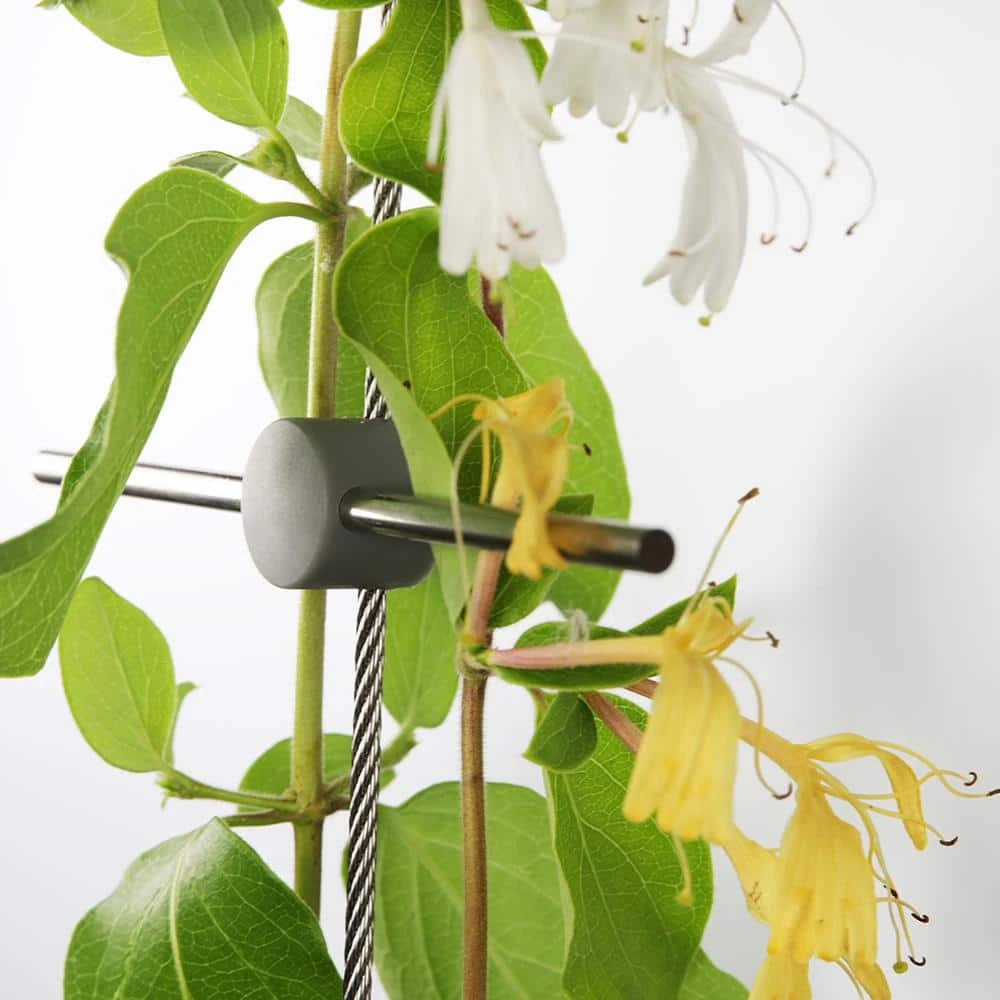 Vigoro 8 ft. Stainless Steel Wire Rope Plant Trellis - Image 2