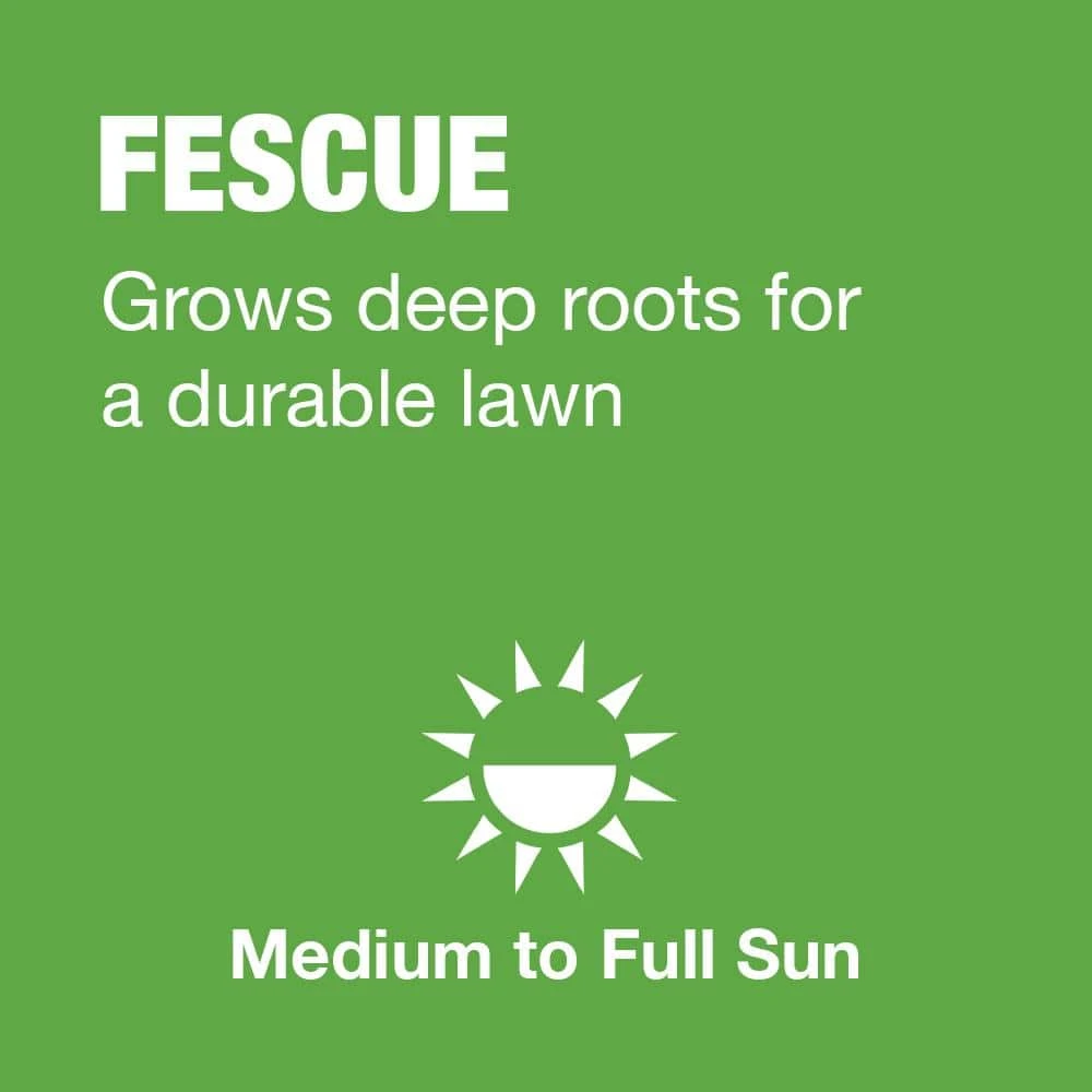 Vigoro 3 lbs. Tall Fescue Grass Seed Blend with Water Saver Seed Coating - Image 4