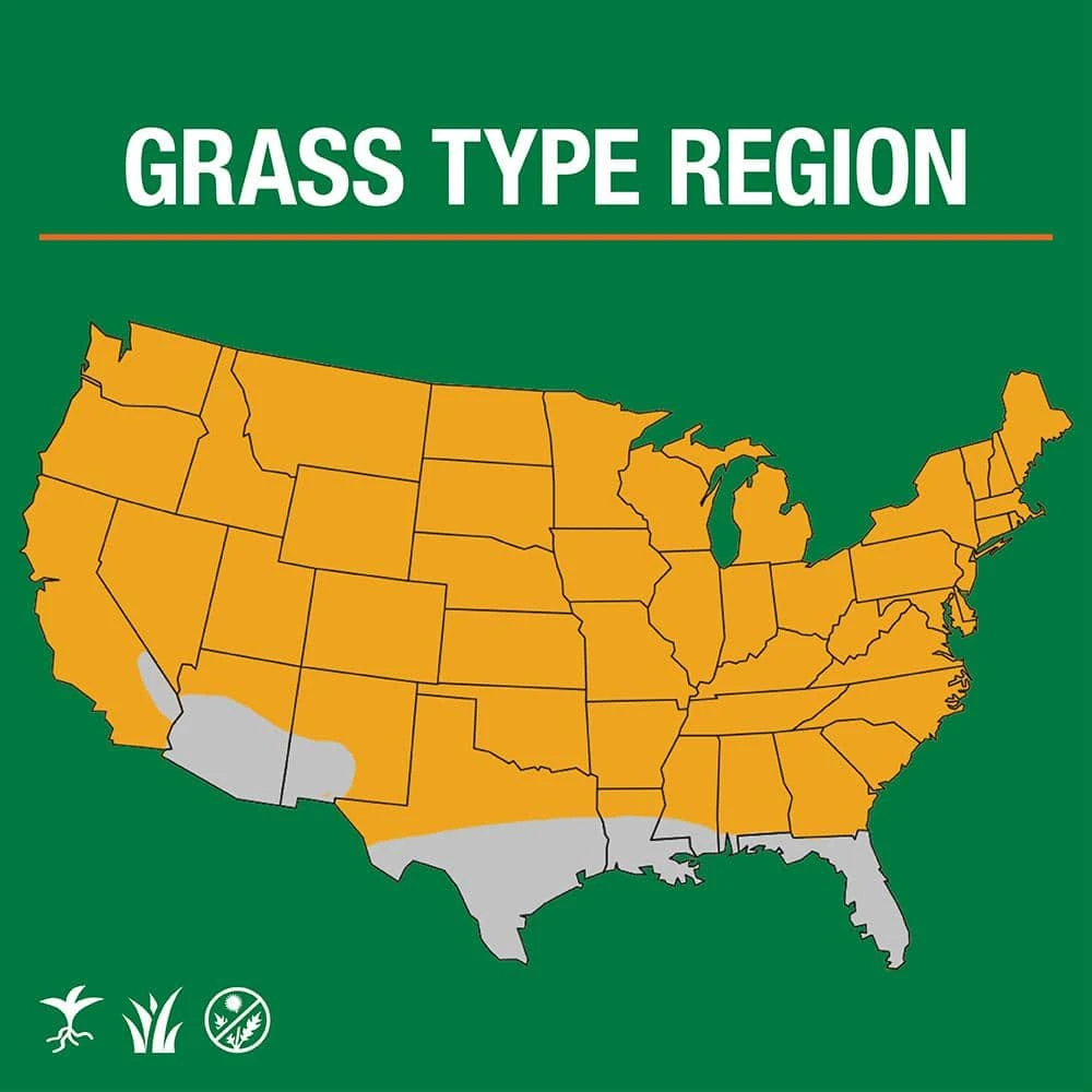 Vigoro 3 lbs. Tall Fescue Grass Seed Blend with Water Saver Seed Coating - Image 2