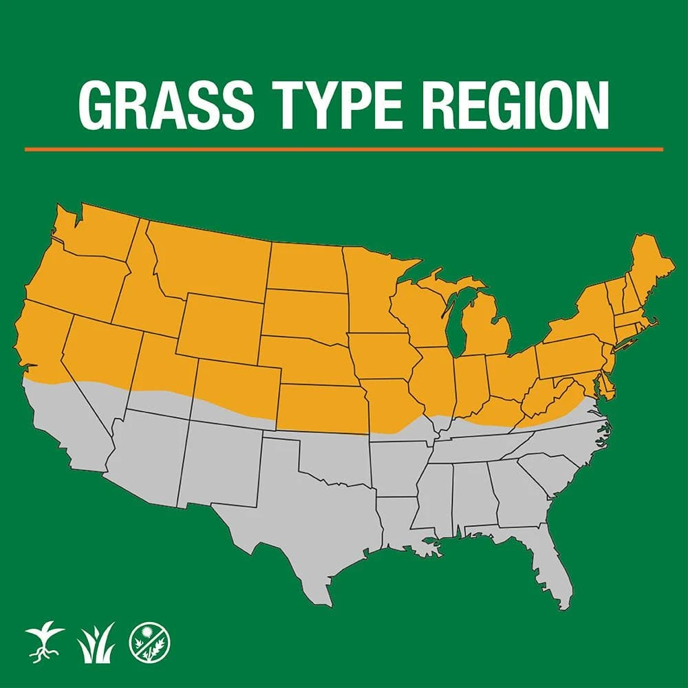 Vigoro 3 lbs. Dense Shade Grass Seed Mix with Water Saver Seed Coating - Image 6