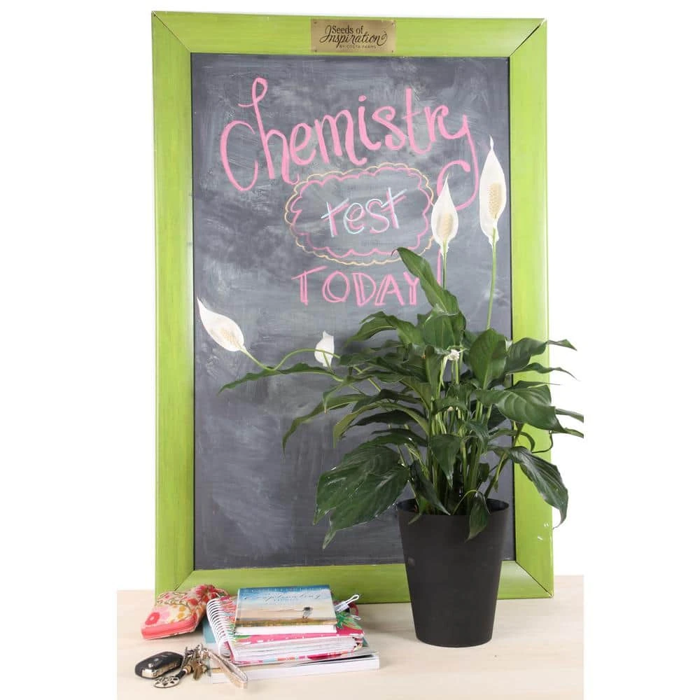 Vigoro 6 in. Peace Lily Indoor Plant in Small White Ribbed Plastic Decor Planter (2-Pack) - Image 5