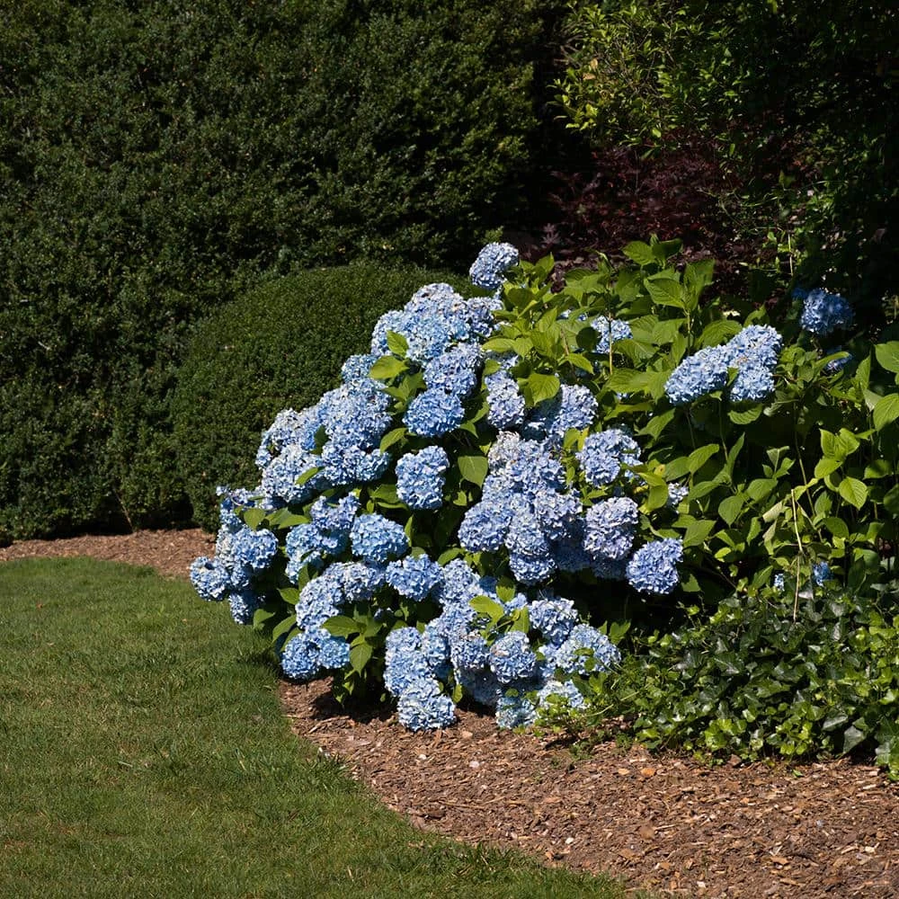 Vigoro 4 ft. x 100 ft. Matrix Grid Heavy-Duty Landscape Fabric (4-Pack) - Image 6