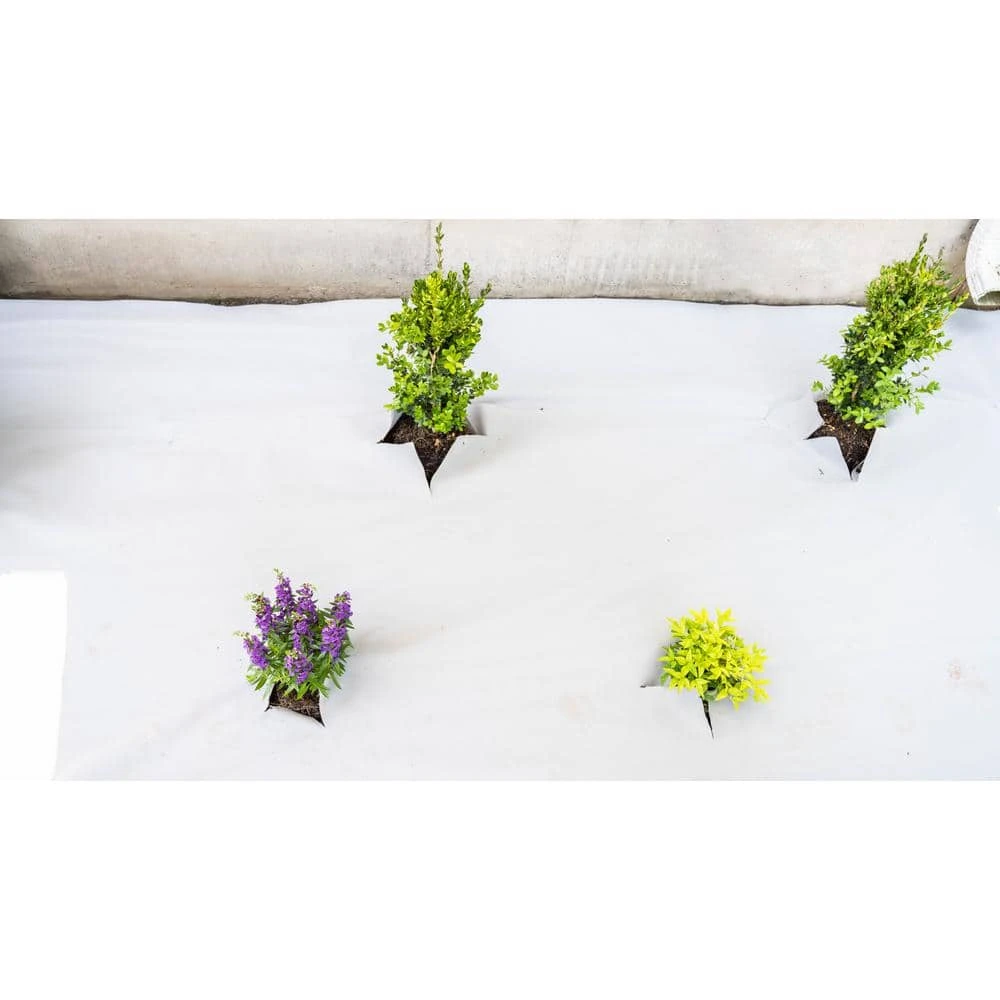 Vigoro 4 ft. x 50 ft. Matrix Grid Landscape Fabric - Image 13