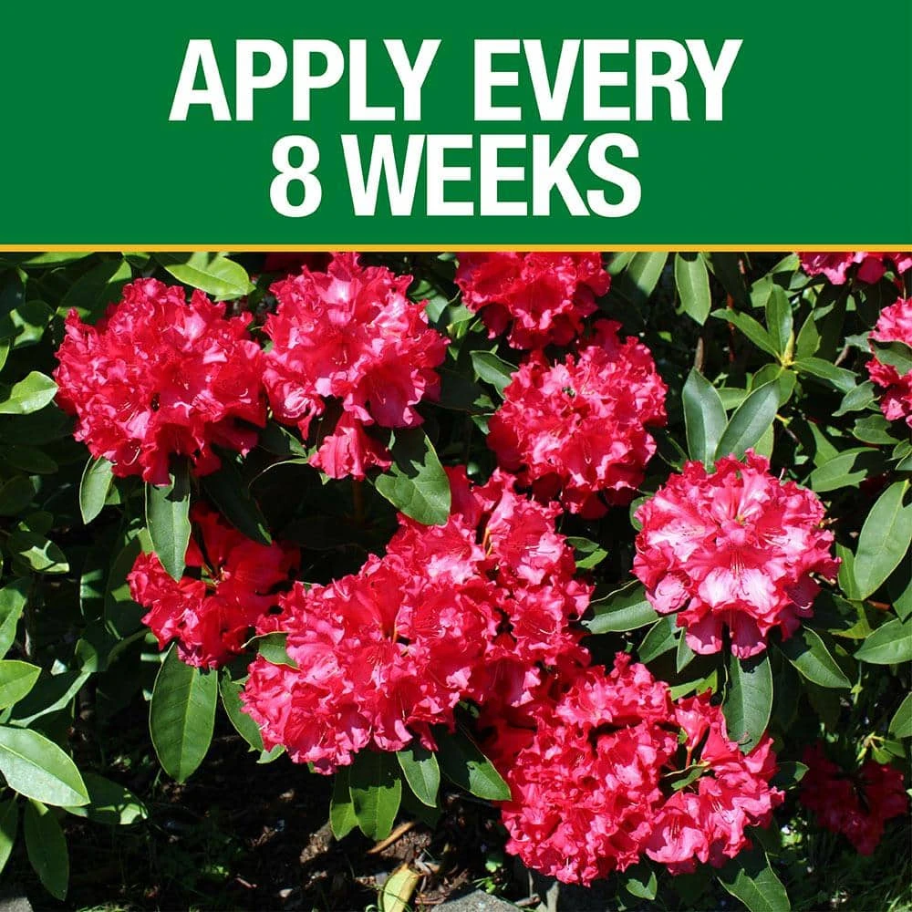Vigoro 3.5 lb. All Season Azalea Camellia and Rhododendron Plant Food (10-8-8) - Image 4