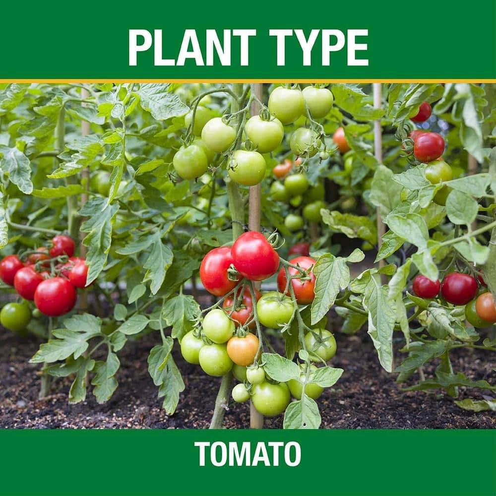 Vigoro 3.5 lb. All Season Tomato and Vegetable Garden Plant Food Plus Calcium (12-10-5) - Image 2