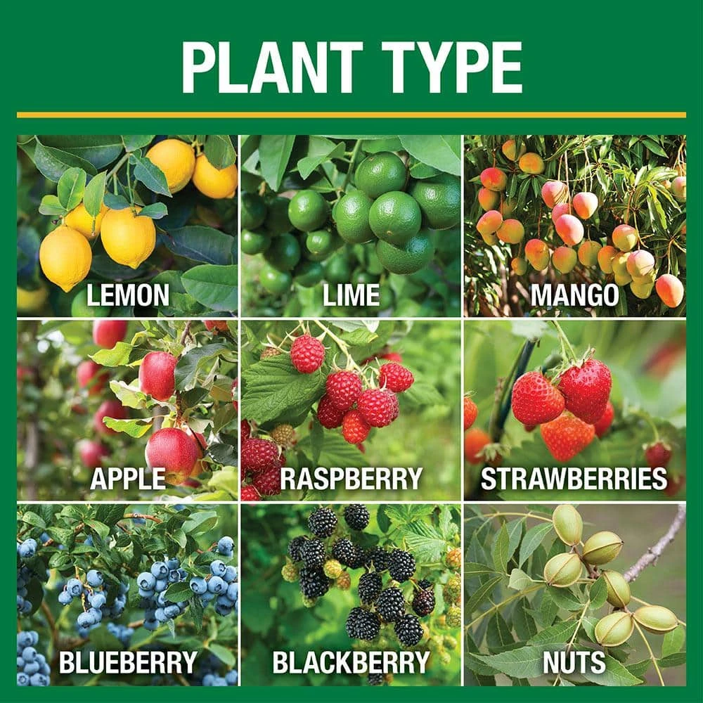 Vigoro 4.2 lb. All Season Fruit, Nut and Citrus Fertilizer Spikes (16-4-8) (15-Count) - Image 2