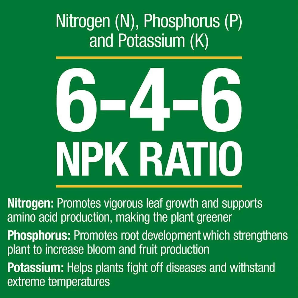 Vigoro 20 lbs. All Season Citrus and Avocado Plant Food Dry Fertilizer (6-4-6) - Image 3