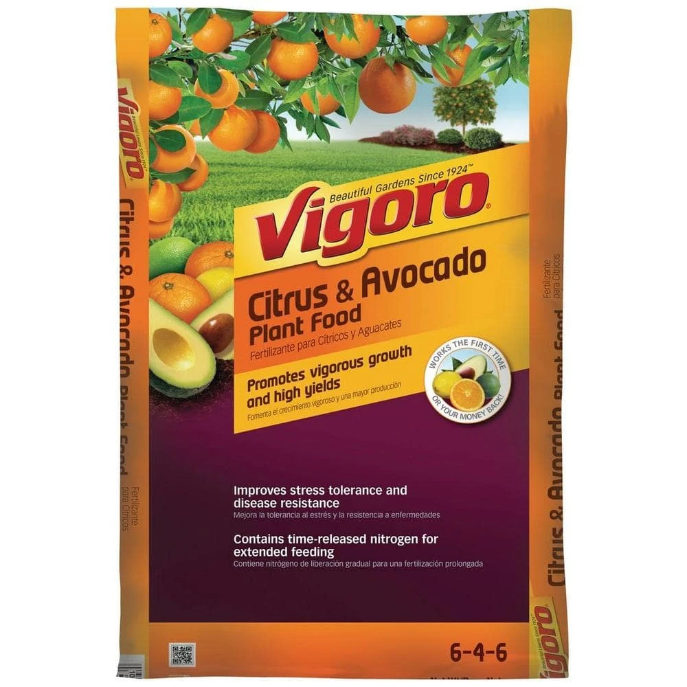 Vigoro 20 lbs. All Season Citrus and Avocado Plant Food Dry Fertilizer (6-4-6)