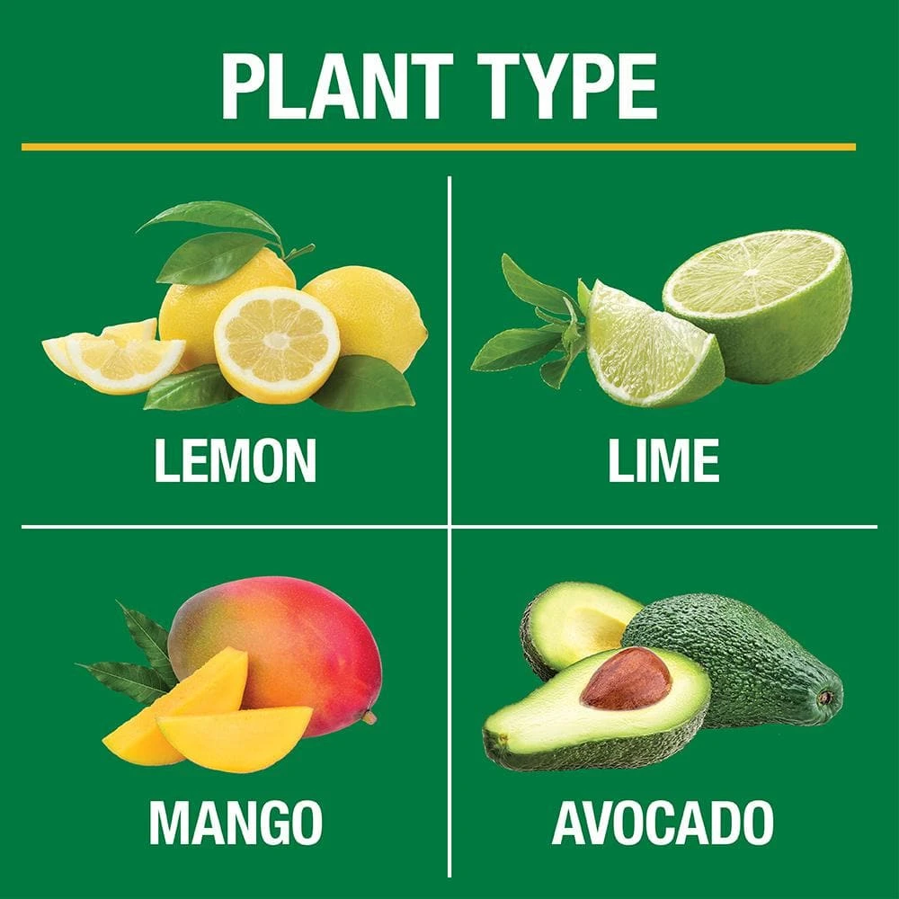 Vigoro 20 lbs. All Season Citrus and Avocado Plant Food Dry Fertilizer (6-4-6) - Image 2