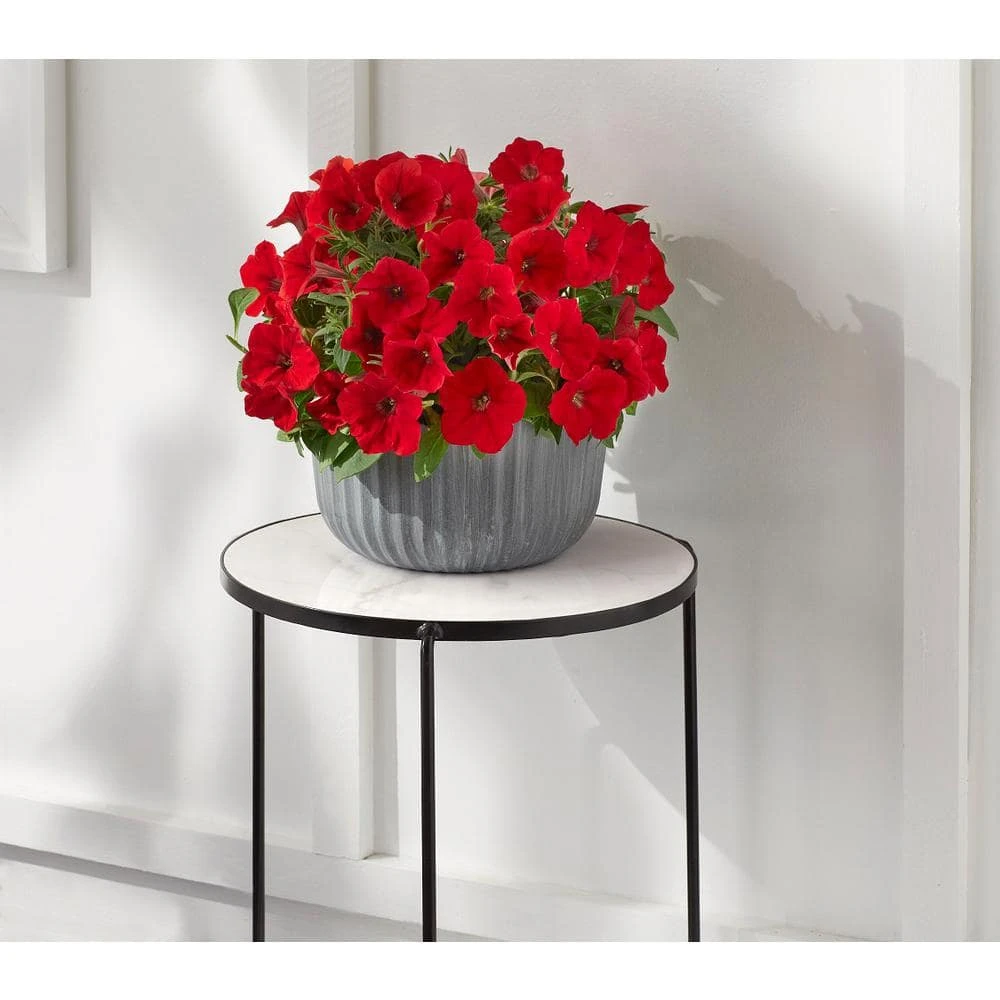 Vigoro 15 in. Marble Look Top Indoor Black Plant Stand