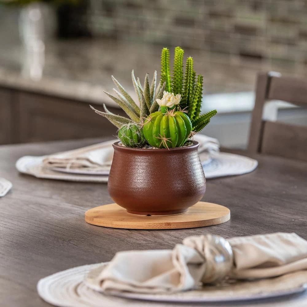 Vigoro 8 in. Bamboo Plant Saucer - Image 5