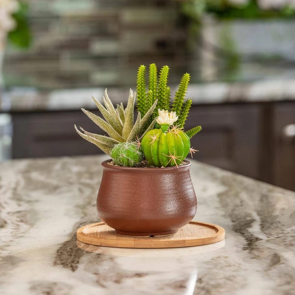 Vigoro 8 in. Bamboo Plant Saucer - Image 6