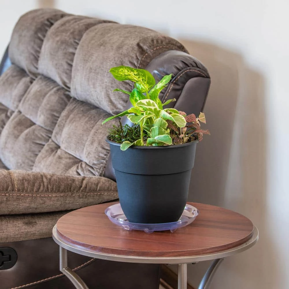 Vigoro 10 in. Heavy Duty Plant Saucer - Image 3