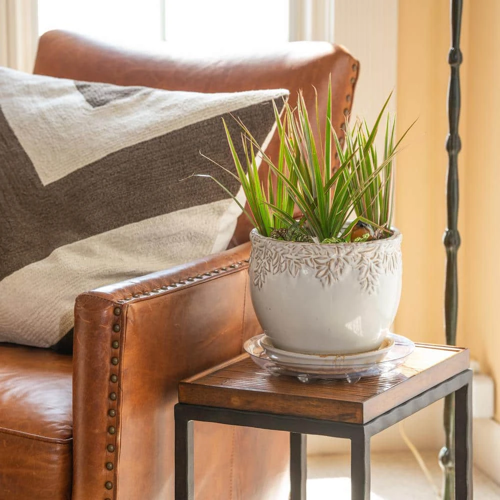 Vigoro 10 in. Heavy Duty Plant Saucer - Image 2