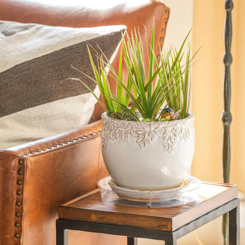 Vigoro 10 in. Plastic Plant Saucer - Image 5