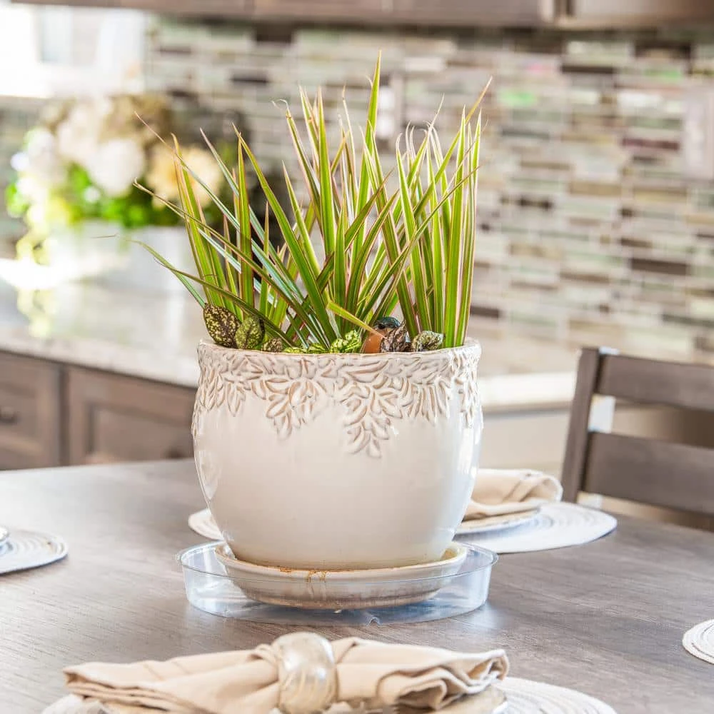 Vigoro 10 in. Plastic Plant Saucer - Image 3