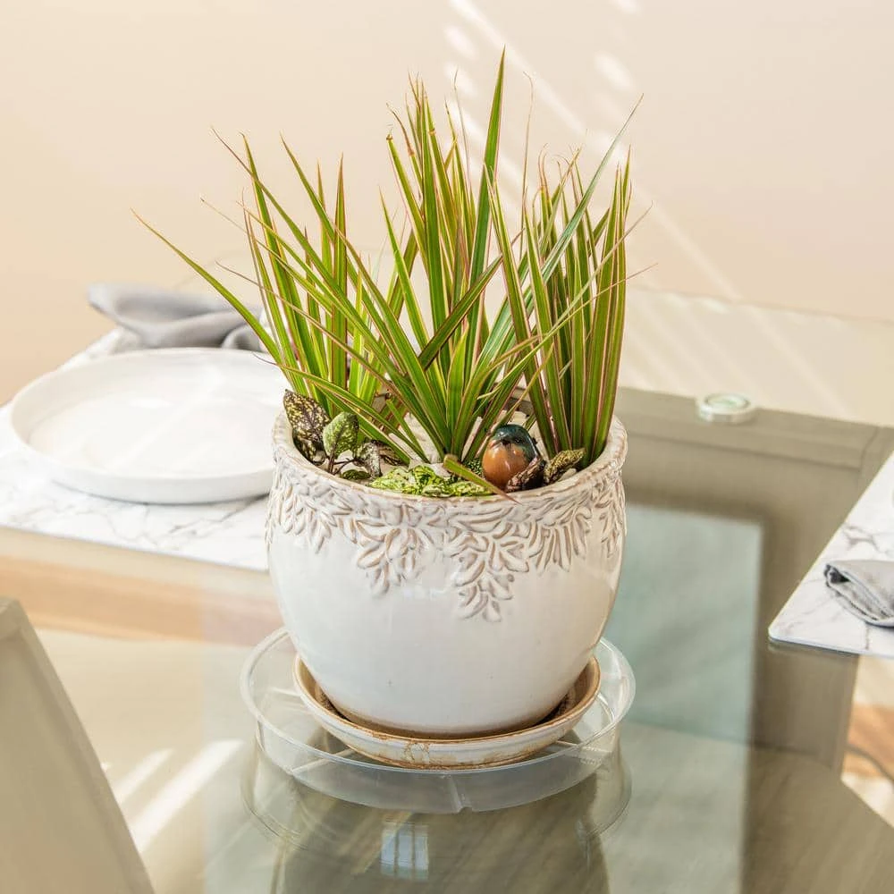 Vigoro 10 in. Plastic Plant Saucer - Image 2