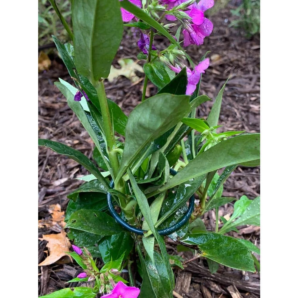 Vigoro 18 in. H x 1.50 in. W Steel Plant Prop - Image 10