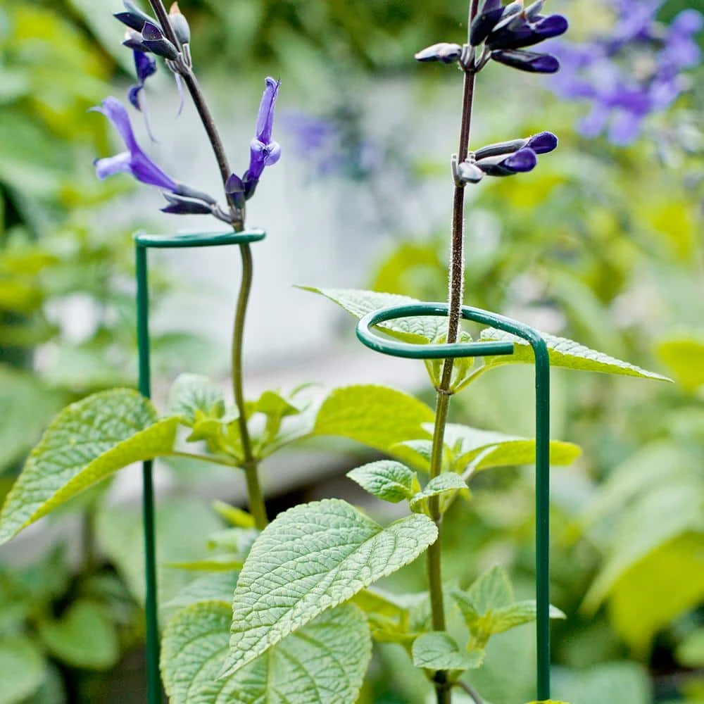 Vigoro 18 in. H x 1.50 in. W Steel Plant Prop - Image 7