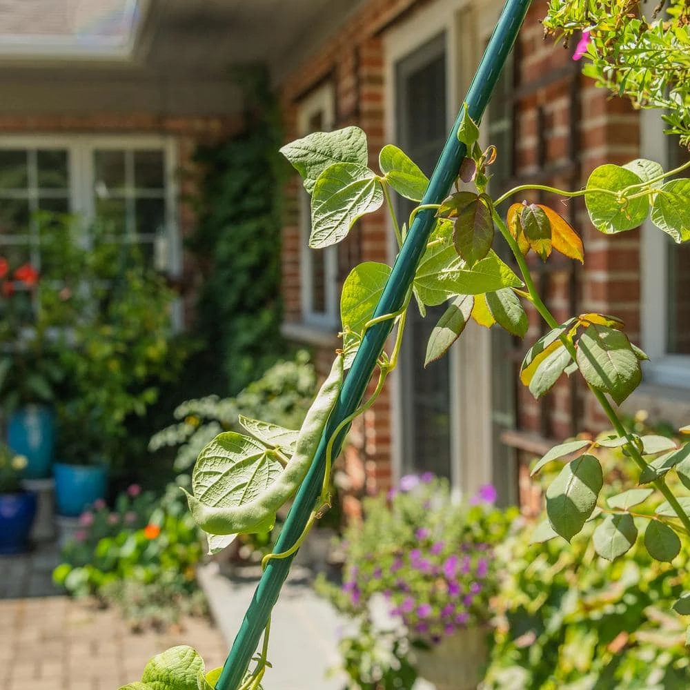 Vigoro 6 ft. Green Colored Heavy Duty Steel Core Garden Stakes - Image 3
