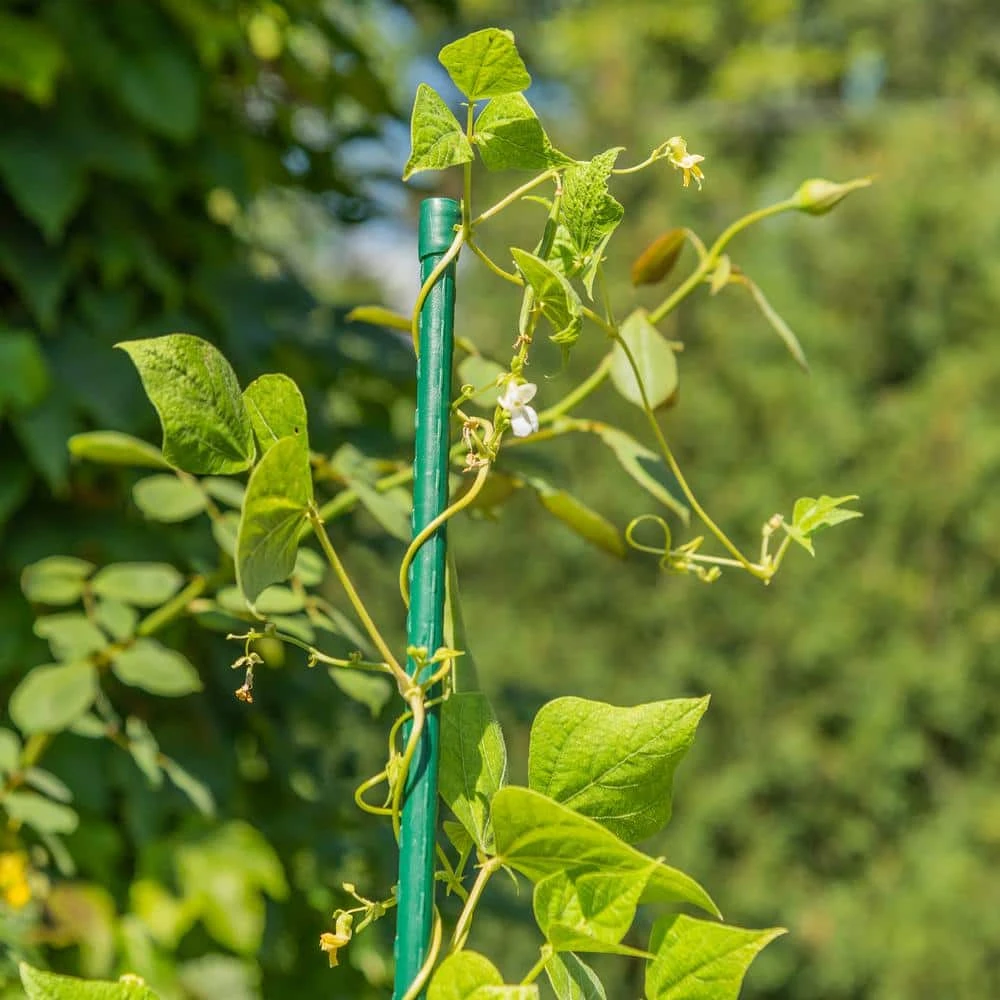 Vigoro 6 ft. Green Colored Heavy Duty Steel Core Garden Stakes - Image 2