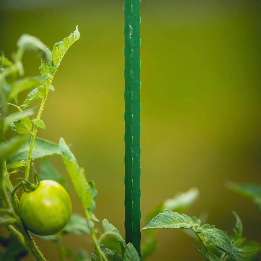 Vigoro 6 ft. Green Colored Steel Core Garden Stake - Image 2