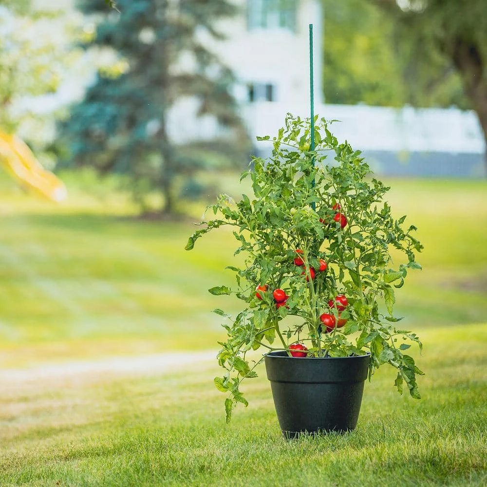 Vigoro 6 ft. Green Colored Steel Core Garden Stake - Image 4