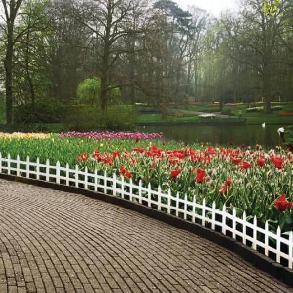 Vigoro 36 in. Wood Picket Garden Fence - Image 4